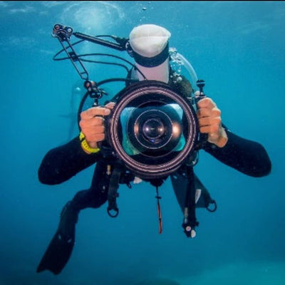 Underwater Photography Dive