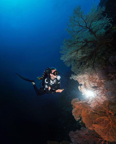 Sunset or Night Dive