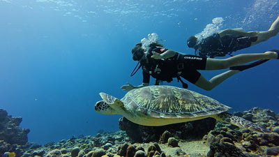 Two-Tank Dive Adventure
