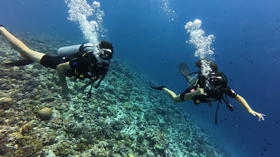 Discover Scuba Diving (Intro Dive)