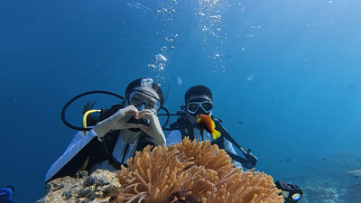 Private Diving Experience