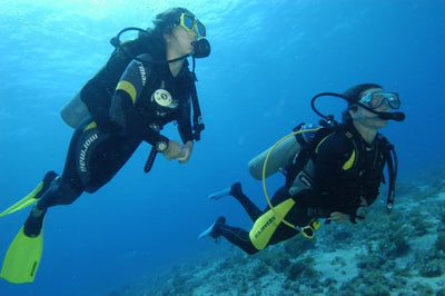 Refresher Dive (Scuba Review)